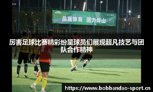 bob半岛体育