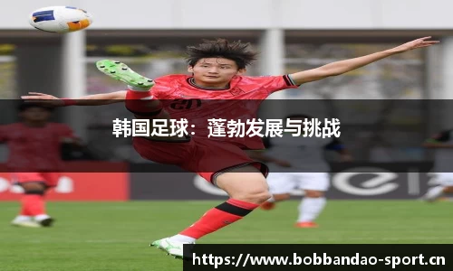 bob半岛体育官网