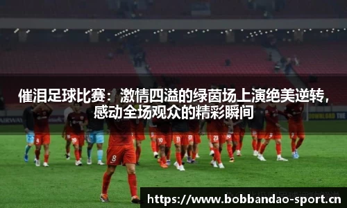 bob半岛体育官网