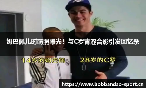bob半岛体育